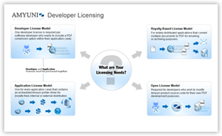License Models