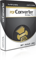 PDF Converter