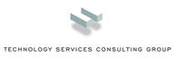 Technology Services Consulting Group